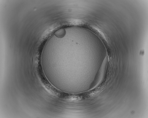 X0000094170736200711020940