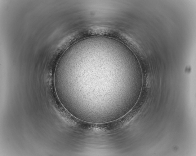 X0000094170737200711020940