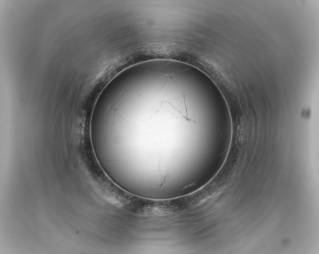 X0000094170739200711020940