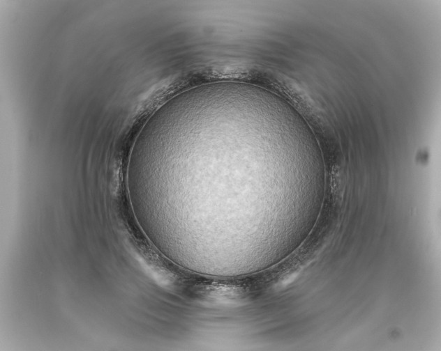 X0000094170741200711020940