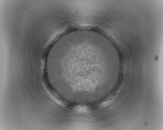 X0000094170742200711020940