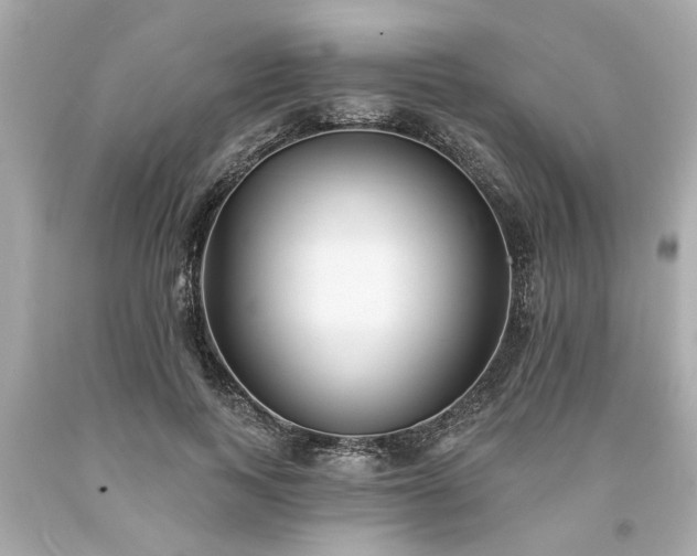 X0000094170743200711020940