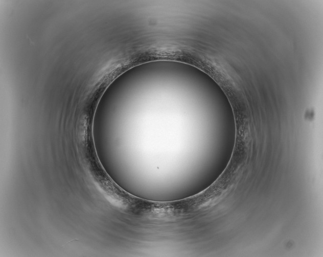 X0000094170744200711020940