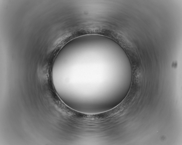 X0000094170746200711020940