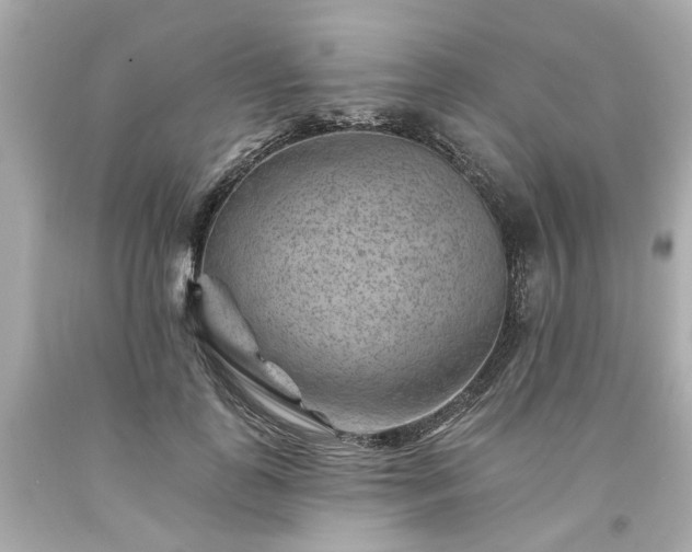 X0000094170747200711020940