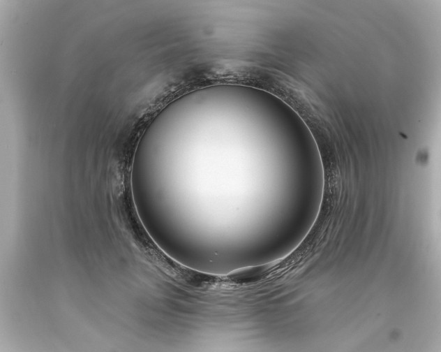 X0000094170751200711020940