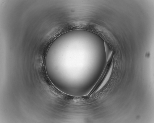 X0000094170752200711020940