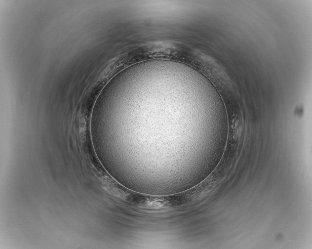 X0000094170753200711020940