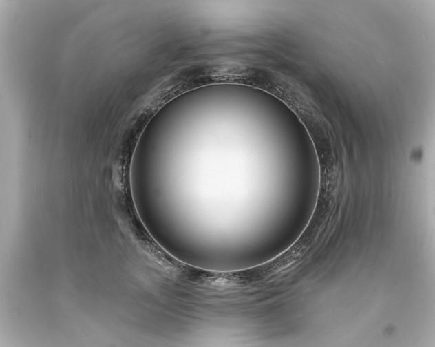 X0000094170755200711020941