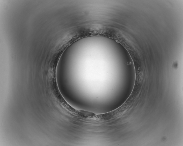 X0000094170756200711020941