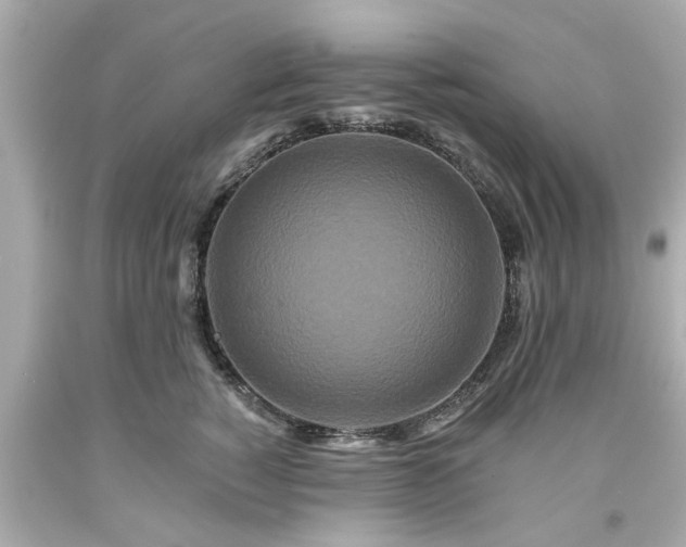 X0000094170760200711020941