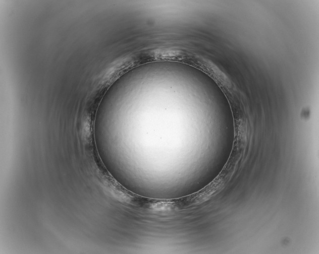 X0000094170761200711020941
