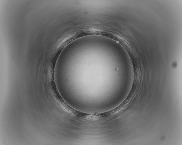 X0000094170762200711020941