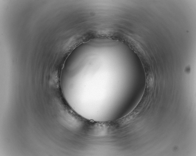 X0000094170764200711020941