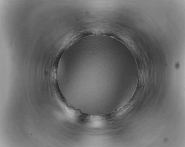X0000094170766200711020941