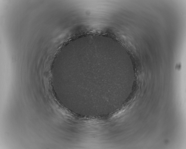 X0000094170769200711020940