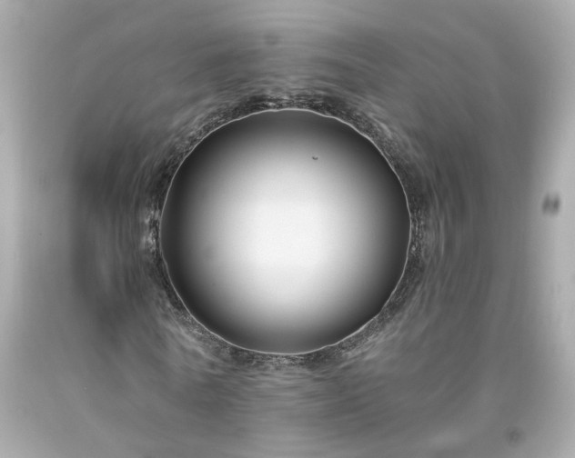 X0000094170770200711020940
