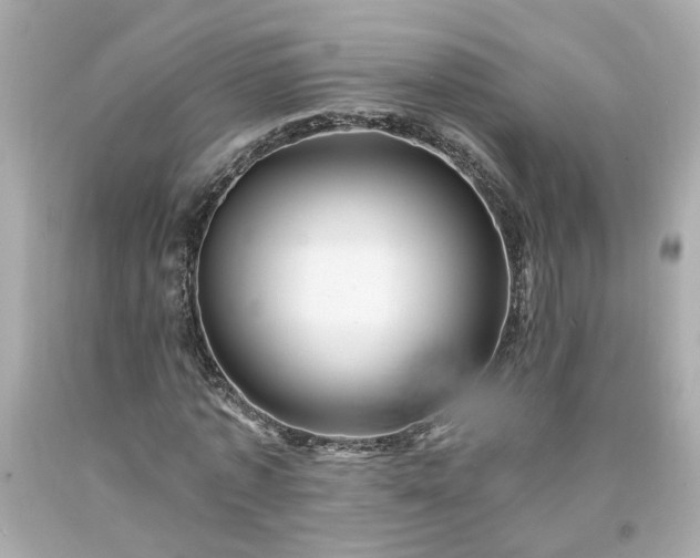 X0000094170773200711020940