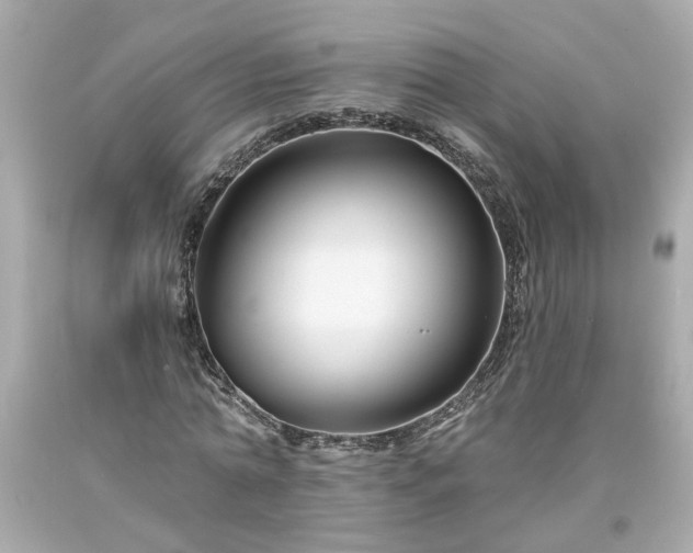 X0000094170774200711020940