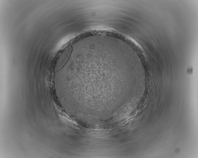 X0000094170775200711020940