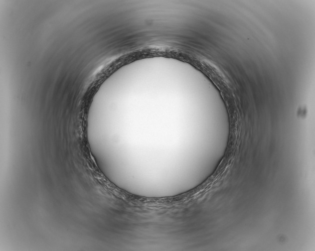 X0000094170776200711020940