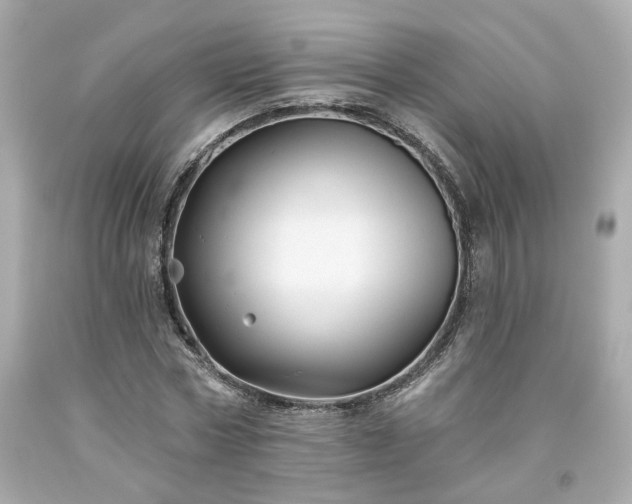 X0000094170778200711020940
