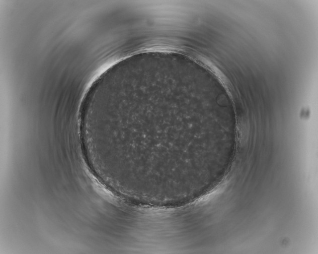 X0000094170779200711020940