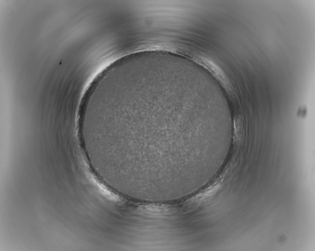 X0000094170780200711020940