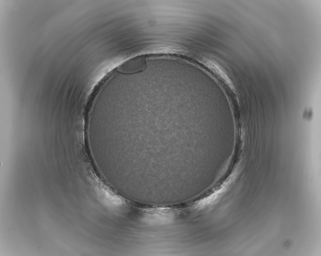 X0000094170781200711020940