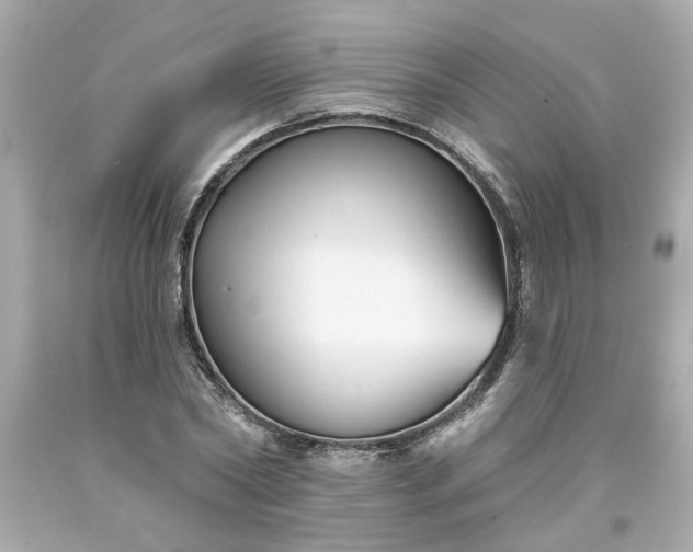 X0000094170782200711020940