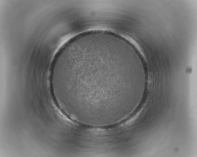 X0000094170783200711020940