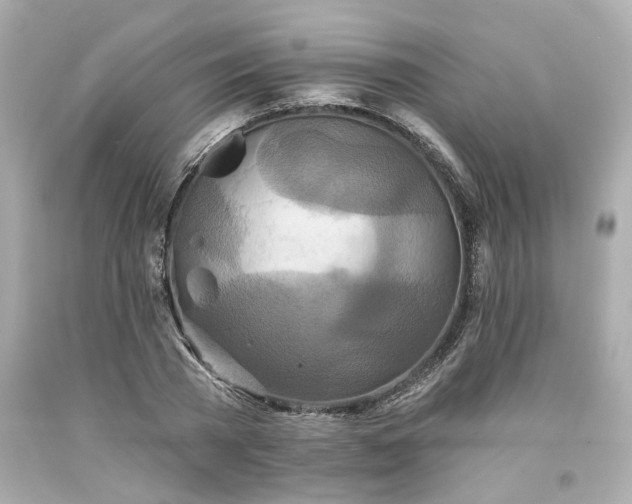 X0000094170785200711020940