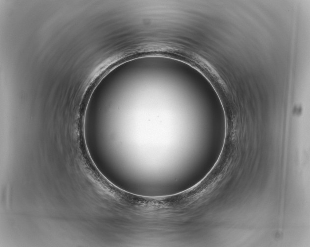 X0000094170786200711020940