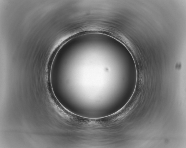 X0000094170787200711020940