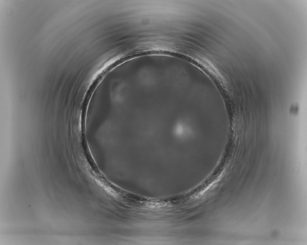 X0000094170790200711020940