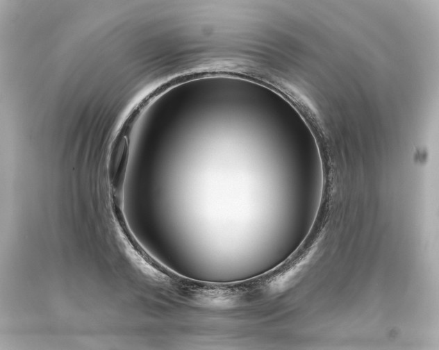 X0000094170792200711020940