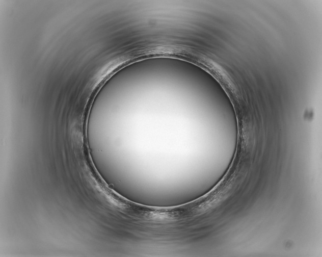 X0000094170794200711020940