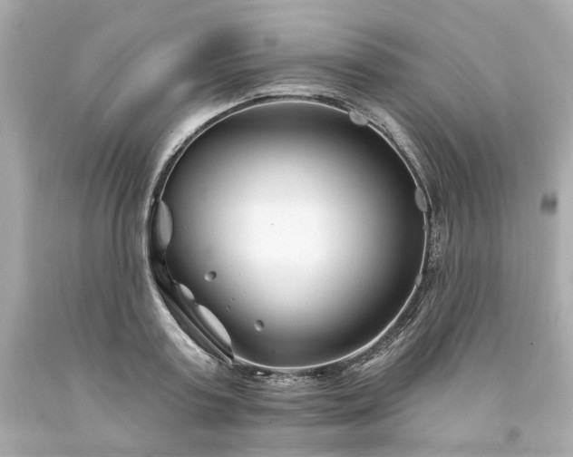 X0000094170795200711020940
