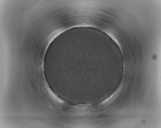 X0000094170797200711020940