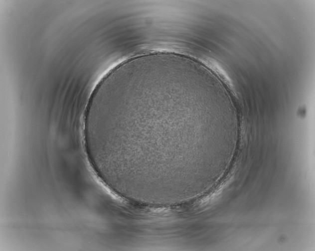 X0000094170798200711020940