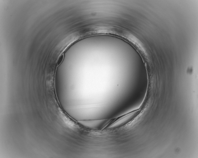 X0000094170801200711020940