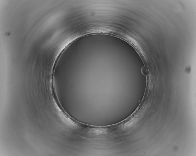 X0000094170802200711020940