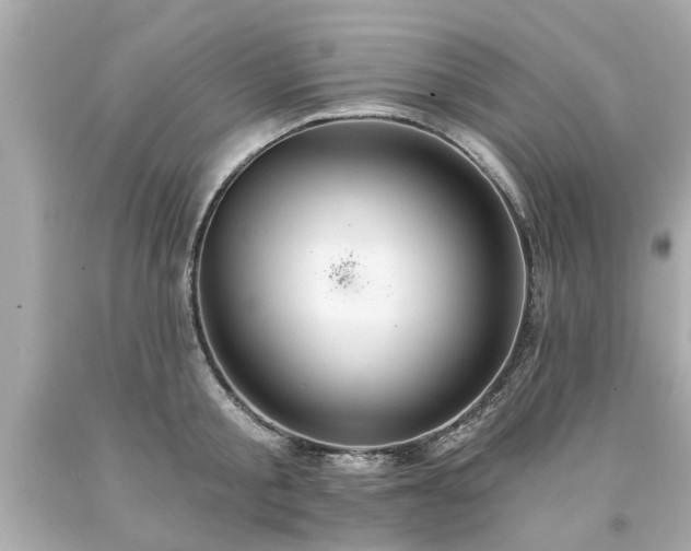 X0000094170805200711020940