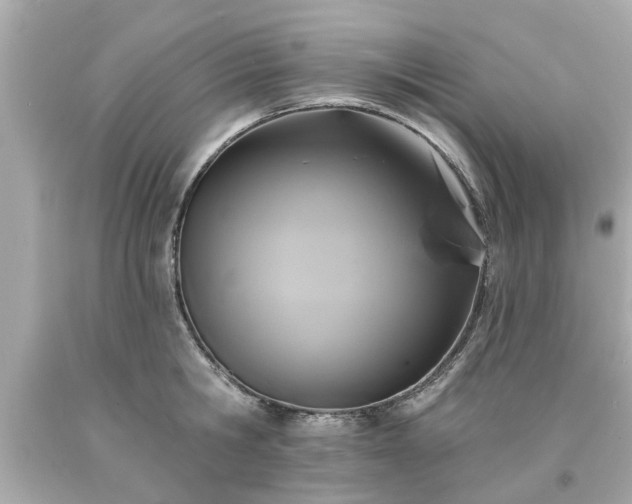 X0000094170806200711020940