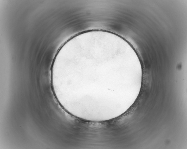 X0000094170807200711020940
