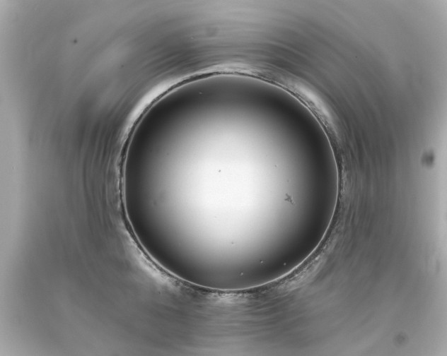 X0000094170808200711020939