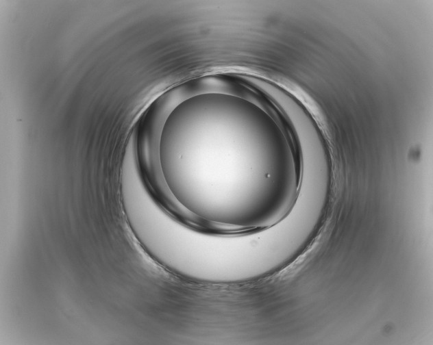 X0000094170809200711020939