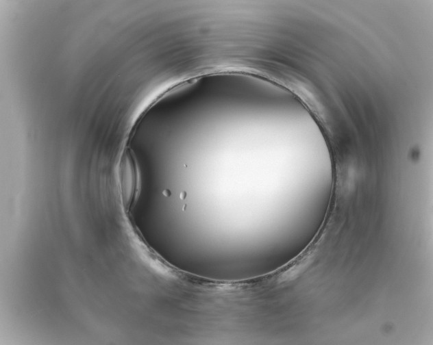 X0000094170814200711020939