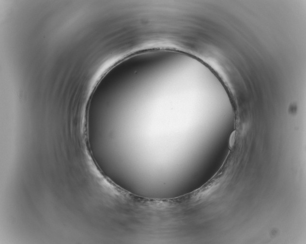 X0000094170815200711020939
