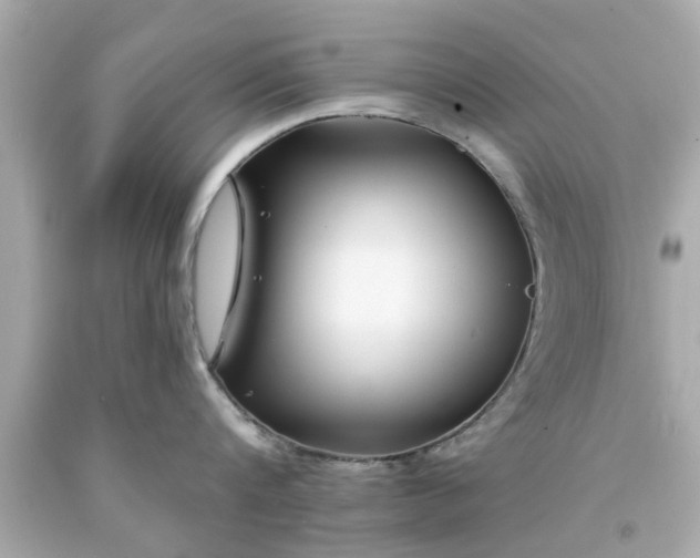 X0000094170816200711020939